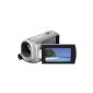 Sony DCR-SX30ES Camcorder (Memory Stick, 60x optical zoom, 4GB internal memory, 6.9 cm (2.7 inch) display, image stabilization, touchscreen) Silver (Electronics)