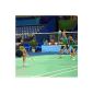 Competition badminton net (Miscellaneous)