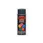 Matter spray paint, matt varnish, RAL 6003 matt olive green, 400 ml aerosol can (tool)
