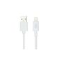 (MFI Apple certified) EZOPower 8-pin Lightning USB Charger Data Sync Cable for Apple iPhone 6, 6 plus 5 5S 5C, iPod Touch 5, iPod Nano 7, iPad 1 & 2 Mini, iPad 4, iPad Air 5 - White / 3 meter (Wireless Phone Accessory)