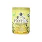 Garden of Life, Crude Protein, Beyond the formula of organic protein, 22 oz (622 g) (Health and Beauty)