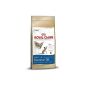 Royal Canin Siamese 55192 4 kg - Cat Food (Misc.)