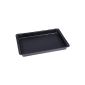 CHG 98006-47 plum cake-baking sheet (household goods)