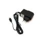 Universal Travel Charger / Power Supply / flexible input voltage / Micro USB port 2A / 100V-250V (electronic)