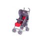 Buggy stroller 'MILO' walking car with footmuff in 5 color themes (baby products)