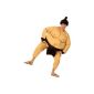 Sumo costume for men (Toys)