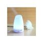 EiioX essential oils Aromatherapy Diffuser Wellness Ultrasonic Humidifier Ultra Quiet electric diffuser with 7 color LED lamps (White) (Kitchen)