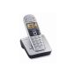 Gigaset E360 cordless phone (illuminated graphic display, large keys, large print, speakerphone) Titanium (Electronics)