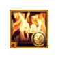 Burning Wood Fire Place (App)