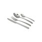 Pradel Excellence 7018-24 Izis 24 pieces Stainless Steel Cutlery (Housewares)
