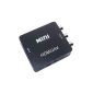 niceeshop (TM) AV HDMI to HD Converter (Black) (Electronics)