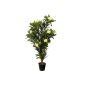 Oleander 1.20m art artificial tree artificial plant real wood trunk