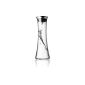 4661129 Menu Water Carafe, 0.8 liter with stainless steel lid (household goods)