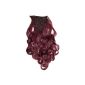 PRETTY SHOP XXL 60cm 8 piece set Clip In Extensions hair extension hairpiece heat resistant as real hair div. Colors (burgundy 118 CES10-1) (Health and Beauty)