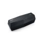 Dolcer by EasyAcc Touch Control Bluetooth speaker (music play Micro SD cards and USB sticks, FM Radio), Black (Wireless Phone Accessory)