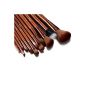Glow professional makeup brushes brown lot 12 kit exquisite case (Miscellaneous)
