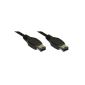 Intos Firewire Cable IEEE1394 6 pin - 6 pin 10.0 m (accessories)