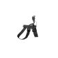 GoPro Accessory Accessories Fetch Dog harnesses, ADOGM-001 (Electronics)