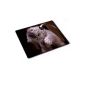 10039 Cats, Kitten Gray Designer Mouse Pad Mouse Pad Mouse Mat Anti-slip feet for a Strong Optimal Maintenance Compatible with Colorful Design for All Types Mouse (Ball, Optical, Laser) (Electronics)
