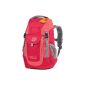 Beautiful backpack with convenient carrying handle for mom and dad