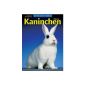 The magazine for rabbit breeders