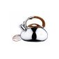 King Hoff KH-3274 stainless steel kettle whistling kettle whistling kettle kettle 3L induction (household goods)