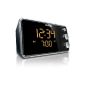 Philips AJ 3551 Radio Clock FM tuner LED Display Black / Silver (Electronics)