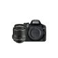 Nikon D3200 SLR Digital Camera (24 Megapixel, 7.4 cm (2.9 inch) display, Live View, Full HD) Kit incl. AF-S DX 18-55 VR II Lens (Electronics)