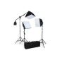 TecTake® Complete Professional Photo Studio Set Studio Set inclusive bulbs softbox studio lights ALU Studiolampe Boom Stand Tripod Photo + Bag (Electronics)