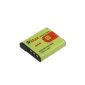 Neewer® NP-FG1 / BG1 Lithium-ion battery for digital camera SONY DSC-W300 W290 (Electronics)