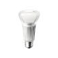 super dimmable LED bulb