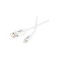 AmazonBasics USB connection cable to Lightning, 0.9 m, certified by Apple, White (Electronics)