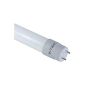 T8 G13 tube 120 cm in LED version with vitreous