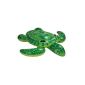 Intex 56524NP - Mount turtle (toy)