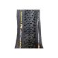 Continental Reifen Conti Race King Pro Tec foldable skin, black, 29 x 2.2 inches 1012901301 (equipment)