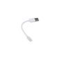 HomeSpot® [Apple MFi Certified] Cable Lightning / Lightning to USB Charge / Sync, compatible with iPhone 6, 6 More iPhone, iPhone 5, iPhone 5S, iPhone 5C, iPad mini, iPad Air, iPod Touch 5, iPod Mano 7 White Premium quality (12 cm) (Wireless Phone Accessory)