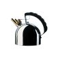 Alessi Kettle Richard Sapper with induction base (household goods)