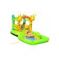 Friedola Giraffe inflatable jumping castle + Pool game giraffe 165 x 165 x 175 cm (Toy)