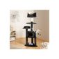 Scratching Post Robby black / white 151cm (Misc.)