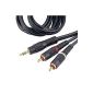 Hama Audio Connection Cable 3.5 mm Jack-St.  Stereo - 2 RCA plug, 10 m (accessory).