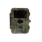 yes it works - Dried SnapShot ExtraBlack 5.0 MP IR Trail Camera (big camera with black LED)