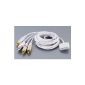 iPod iPad iPhone3 and 4 G / S Charging AV Video RCA adapter cable with USB charger Radio (Electronics)