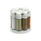 EMSA GALERIE Spice carousel with 8 spices white (household goods)