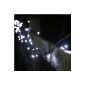 Garland Light Solar with 100 LED's White Lights4fun