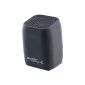 auvisio Portable Bluetooth active speaker MSS-100.bt (Electronics)