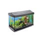 Tetra 151543 AquaArt Aquarium Complete Set 60L, modern design combined with innovative technology and easy maintenance (Misc.)
