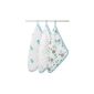 Aden + Anais 3042 - Hide And Sea muslin washcloths, 3 Pack (Baby Product)