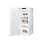 Bauknecht GKN 14F3 A ++ WS Freezer / 142.00 cm Height / 200 kWh / year / 175 L Freezer / NoFrost, never defrost / white (Misc.)