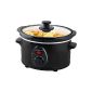Andrew James - Premium 1.5L slow cooker in black - with safety glass and Removable, Inner ceramic bowl - 3 temperature settings - 2 years warranty