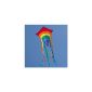 Kites Kite - Rainbow Eddy RED - for children from 3 years - Dimensions: 65x74cm - including 80m children kite string and 8x105cm stripes tails (toys).